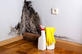 Patrick Af, FL Mold Removal Services Company